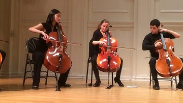 Low Strung plays "Yesterday" (with 10 cellos)