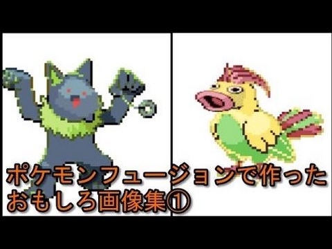 動画で面白画像 ポケモンフュージョンで作ったおもしろ画像集 Hd 面白画像まとめ