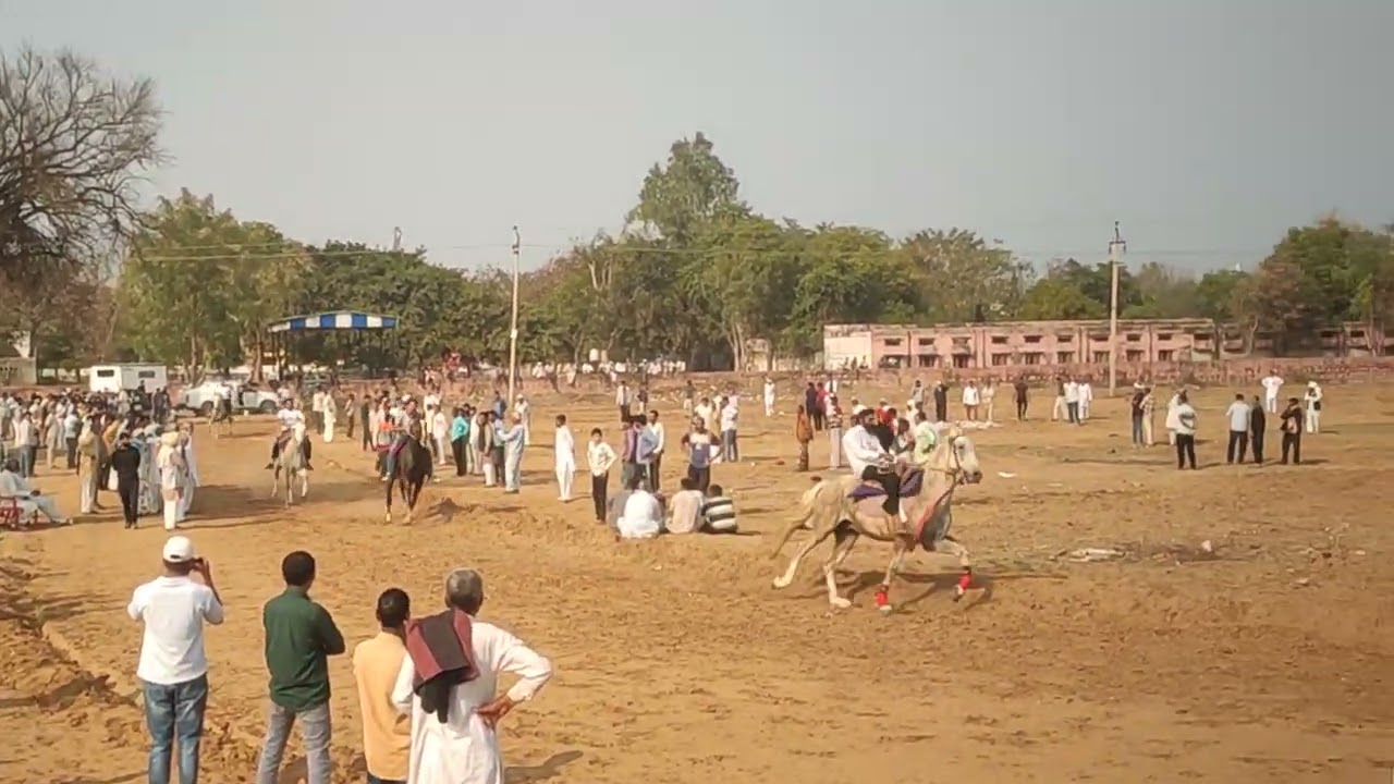 Makdana rewal chal 2026 final 