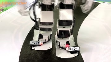 Section 3 |Hiwonder H3P Robot Intelligent line tracking demo video