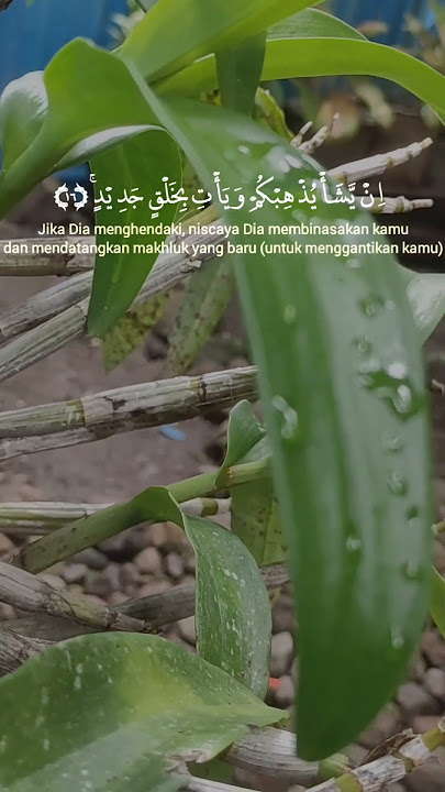 murottal merdu |#alquran #ngaji#tartilmerdu