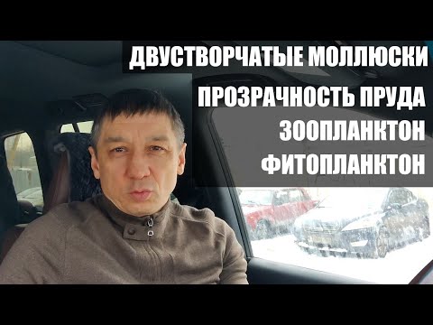 Видео: Дафниите фитопланктон ли са или зоопланктон?