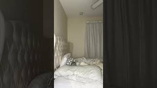 Home POV💮Chat With Me | Day In My Life Updates 💬