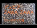 デュビア　ＺＡＷＡＺＡＷＡ　ＳＳ～Ｍサイズ編