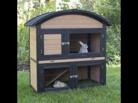 Casa para conejos interior