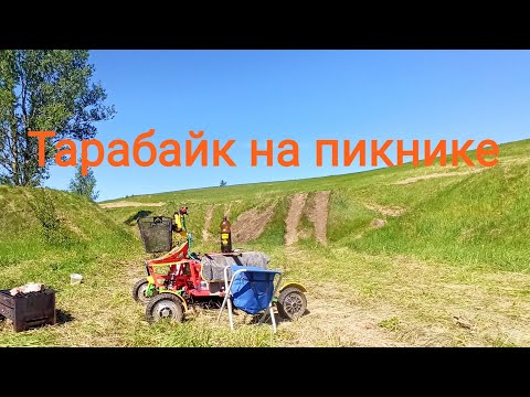 Видео: Самодельный электроквадроцикл. Тарабайк на пикнике.