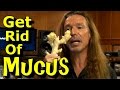 Mucus Relief For Singers! Incredible Free Tips And Remedies For Singing Wellness! Ken Tamplin Vocal