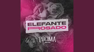 Elefante Rosado