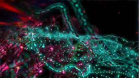 Return of the Champion - Liquid Acid Video