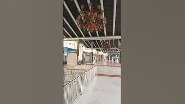 Kondisi Terminal 1 Soekarno Hatta #airport #love #sepi #bus #damri #viralvideo #video #viralshort