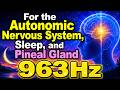 Healing Music for the Brain and Autonomic Nervous System 963Hz