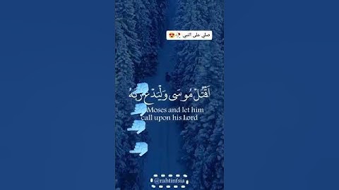 اوقف شويه واستمع القران الكريم 🌸أرح قلبك