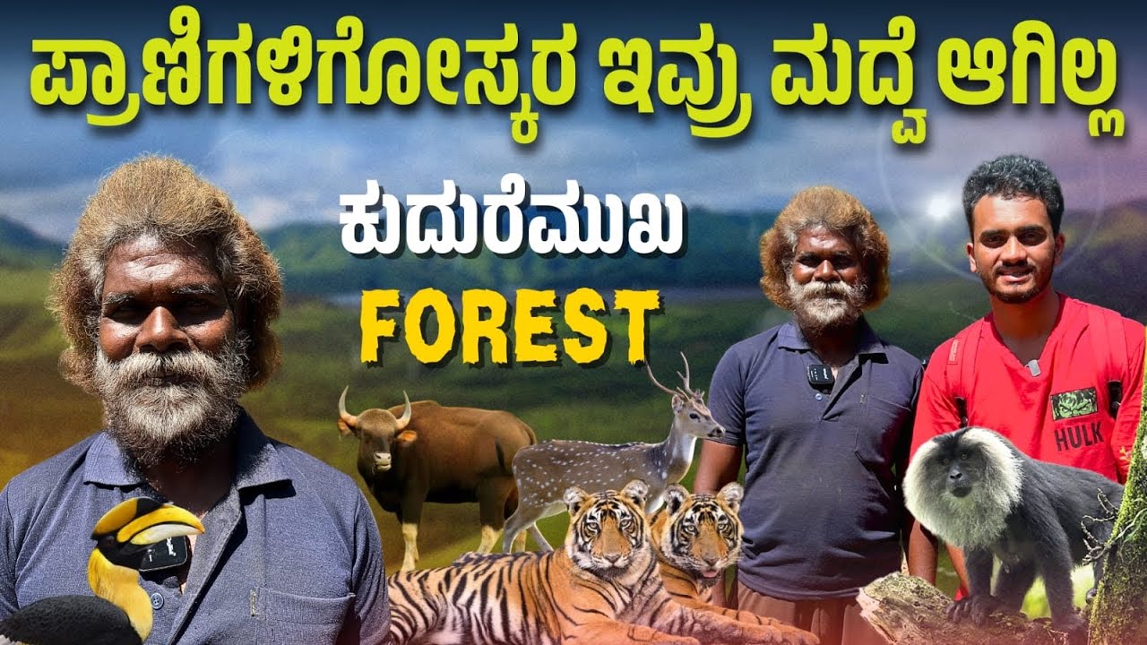 3 ಚಿರತೆ Attack ಮಾಡಿತ್ತು😲 
