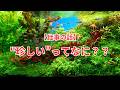 【仕事の話】珍しいってどいうことなの？