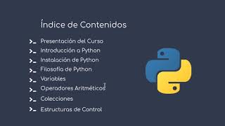 Celebrity Curso Programación con Python - Introducción 1 Wealth