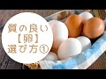 質の良い【卵】の選び方