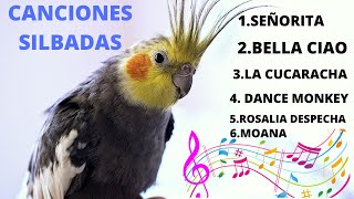 Whistled songs for Nymphs , parrots , cockatoos . Teach your parrot to sing