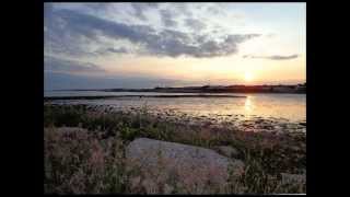 Video thumbnail of "Johnny Logan  - The Fields of Athenry"