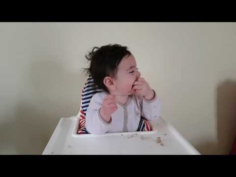 მსუნაგა - 7 თვის