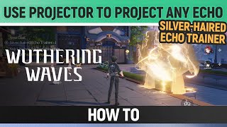 Wuthering Waves - Use Utilities - Projector to project any Echo - Silver-haired Echo Trainer I