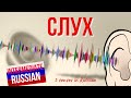 Intermediate Russian Vocabulary: Слух (words related to hearing)