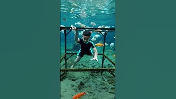 Thumbnail of Umbul Ponggok
