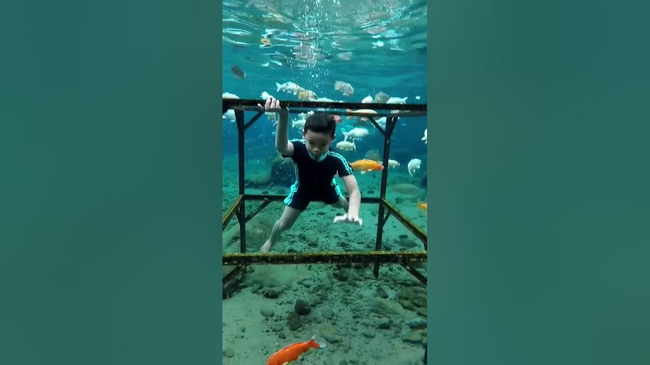 Umbul Ponggok