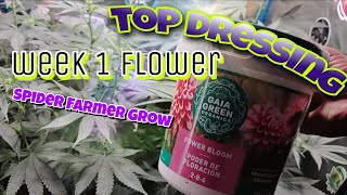 Top Dressing with Gaia Green Power Bloom 2-8-4 / Purple Aliens - week 1 Flower