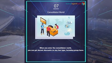 Airline Consolidator: Expectation vs. Reality