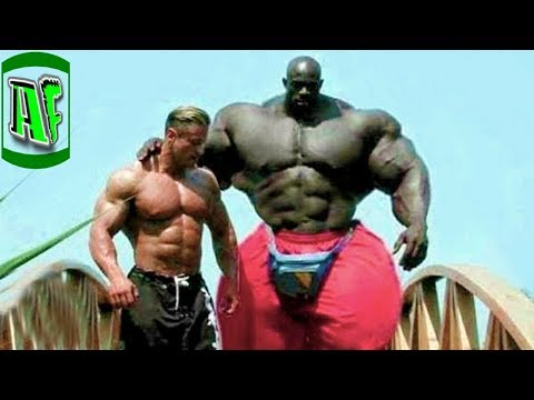 6 წარმოუდგენელი მებრძოლი რომელიც რეალურად არსებობდა