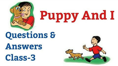 Puppy And I | Questions-Answers, English For Class 3rd (NCERT) |