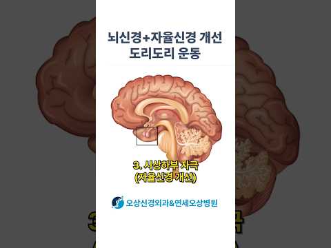 도리도리로 가능 건강 효과 #shorts