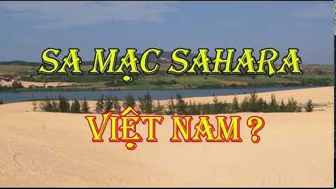 Khám Phá Sa Mạc Sahara Ngay Tại Việt Nam | Đồi Cát Bàu Trắng Bình Thuận | Dã Ngoại Cùng Lan