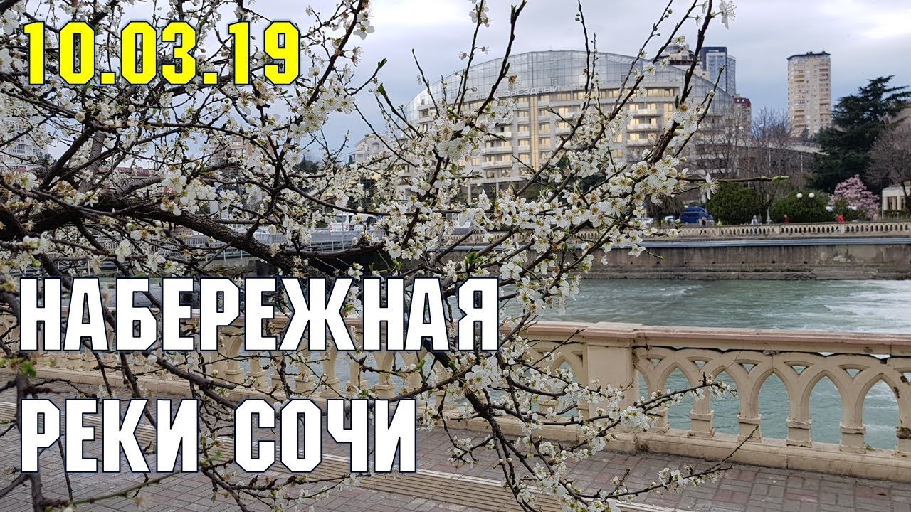 Сочи в марте отзывы туристов Сочи в марте отзывы туристов