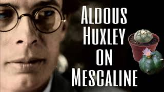 Aldous Huxley on Mescaline ( Interview ) 1961