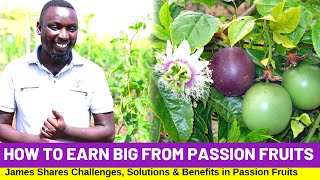 Passion Fruit Farming  How To Start and Make Millions (TIPS 2022)