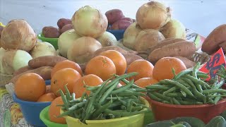 Farmers Market reopens at Bay Co. Fairgrounds
