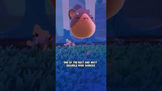Why You Should Never Build A Coop In Slime Rancher 2