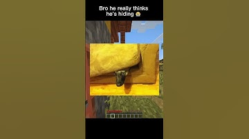 Minecraft Creeper Hide #shorts #minecraft