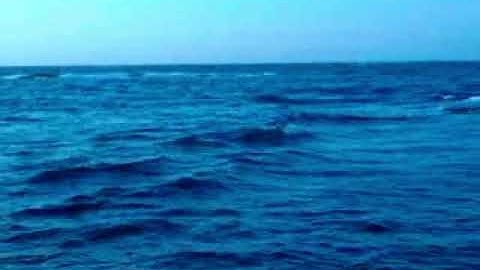 سورة القارعة والتكاثر مكرر مرتين للقارئ الشحات محمد أنور القرأن الكريم Egy220