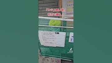 「カラス断ノ助」有志で購入！#ゴミ #ごみ #ゴミ捨て #ゴミ箱 #カラス #からす #害獣