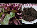 Sag ki bhuji abhi puja express  vlogs  cooking plz subscribe my channel 