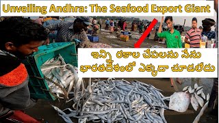 Unveiling Andhra: The Seafood Export Giant | ఇన్ని రకాల చేపలను నేను భారతదేశంలో ఎక్కడా చూడలేదు