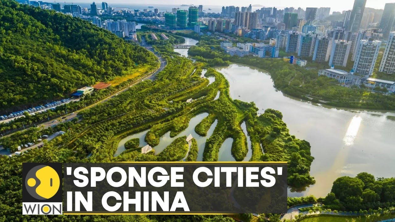 WION Climate Tracker: China’s water absorbing ‘sponge city’ | Latest English News | World News