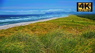 Oregon Cannon Beach | SOUNDS | 10 HOURS | 4K by Visual Escape - Relaxing Music with 4K Visuals 337 views 3 weeks ago 10 hours