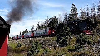 Harzer Schmalspurbahnen (HSB)  from Wernigerode to Brocken and return  August 2023