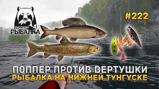 Поппер против Вертушки. Рыбалка на Нижней Тунгуске - Русская Рыбалка 4 #222