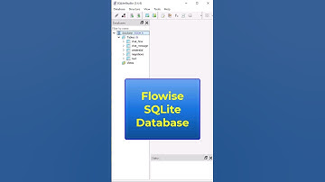 Flowise SQLite Database