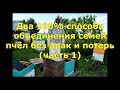 два 100% способа объединения пчелосемей (часть1)