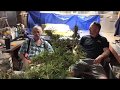 Potting bench farms  no hvac cannabis grow  episode 1